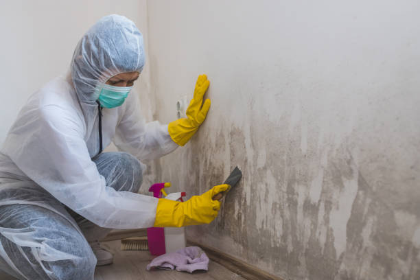 Best Mold Cleaning Services  in Goodland, KS