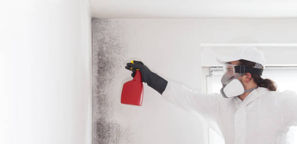 Best Professional Mold Removal  in Goodland, KS